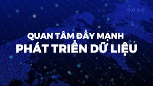 Cần quan tâm đẩy mạnh phát triển dữ liệu