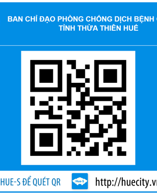Thẻ kiểm so&#225;t dịch bệnh Covid -19 tại Thừa Thi&#234;n Huế
